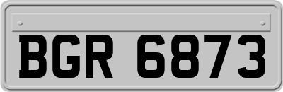 BGR6873