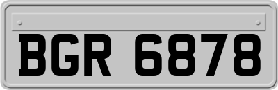 BGR6878