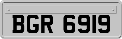 BGR6919