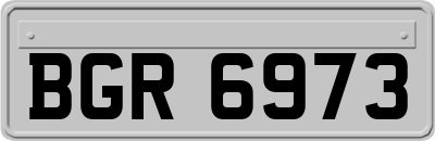 BGR6973