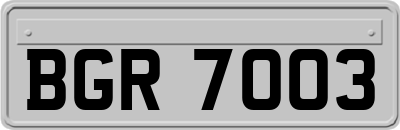 BGR7003