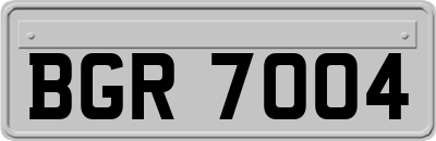 BGR7004