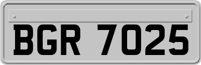 BGR7025