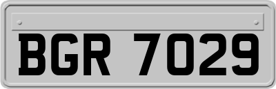 BGR7029