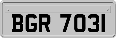 BGR7031