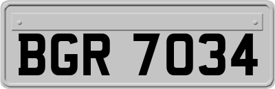 BGR7034