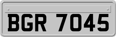 BGR7045