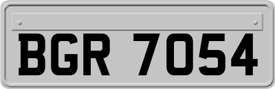 BGR7054