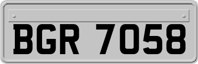 BGR7058