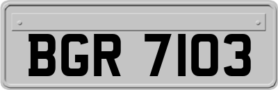 BGR7103