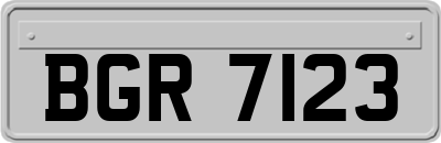 BGR7123
