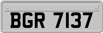 BGR7137