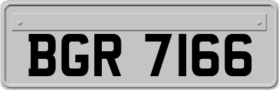 BGR7166