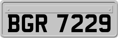 BGR7229
