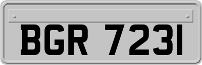 BGR7231