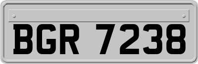 BGR7238