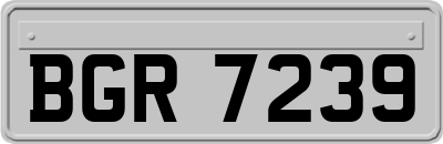 BGR7239