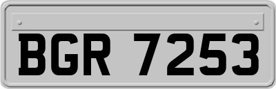 BGR7253