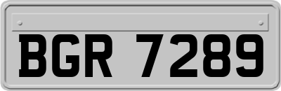BGR7289