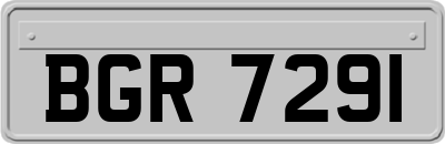 BGR7291