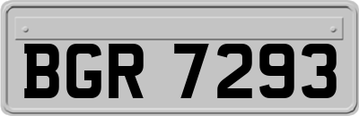 BGR7293
