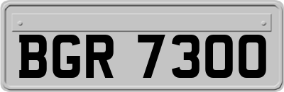 BGR7300
