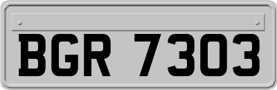 BGR7303