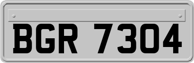 BGR7304