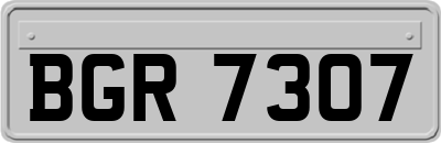 BGR7307