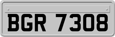 BGR7308