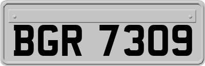 BGR7309