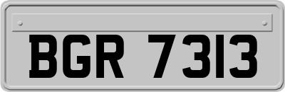 BGR7313