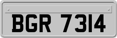 BGR7314