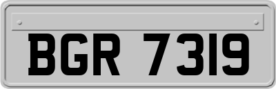 BGR7319