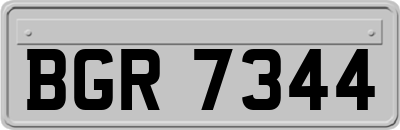 BGR7344
