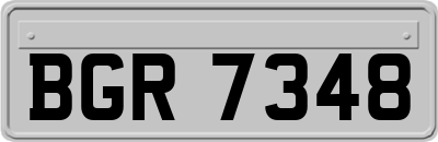 BGR7348