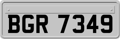 BGR7349