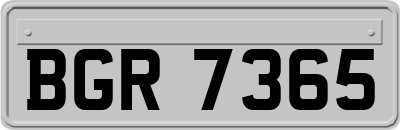 BGR7365