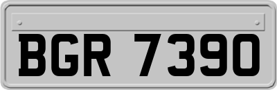 BGR7390