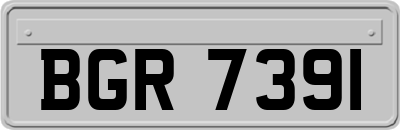 BGR7391
