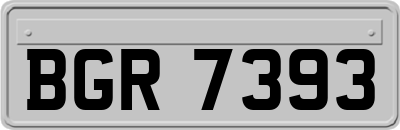 BGR7393
