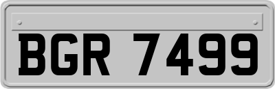 BGR7499