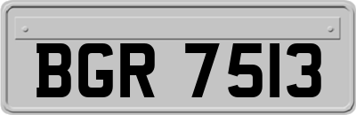 BGR7513
