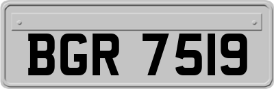 BGR7519