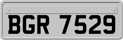 BGR7529