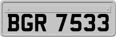 BGR7533