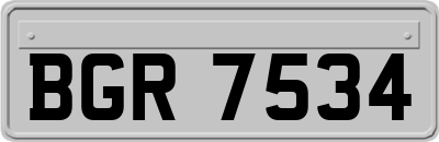 BGR7534