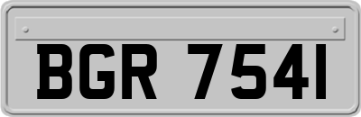BGR7541