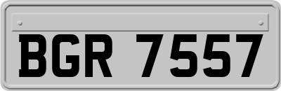 BGR7557