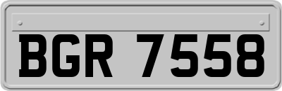 BGR7558